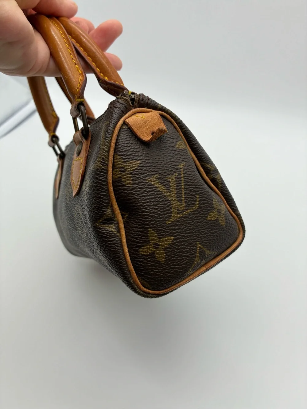Louis Vuitton mini nano speedy monogram bag